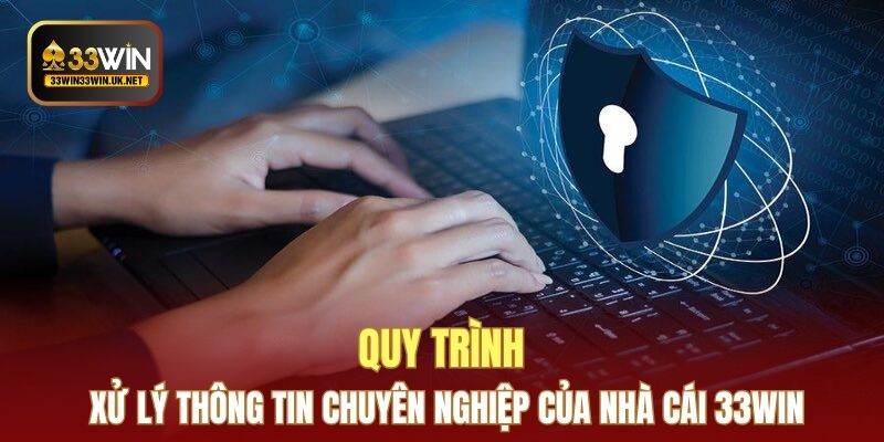 Quy trình xử lý thông tin chuyên nghiệp của nhà cái 33WIN