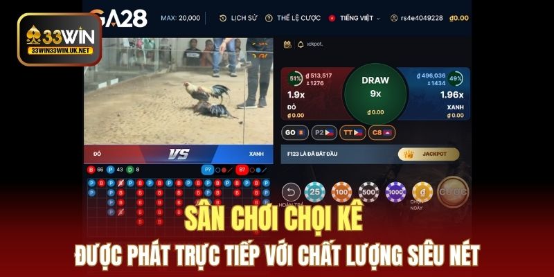 Sân chơi chọi kê được phát trực tiếp với chất lượng siêu nét
